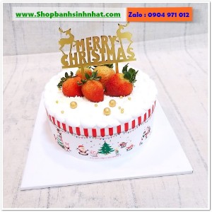 Bánh Sinh Nhật Trái Cây Tươi - U76